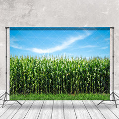 Aperturee - Blue Sky Green Cornfield Summer Backdrop For Photo