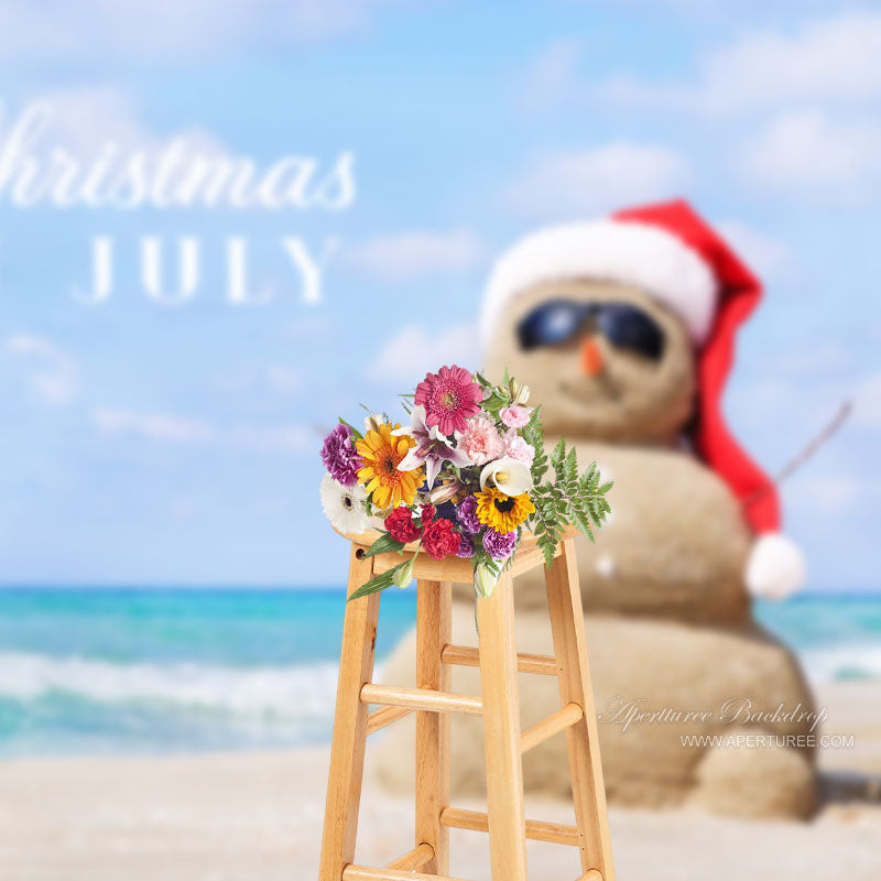 Aperturee - Blue Sky Sea Beach Sandman Christmas In July Backdrop