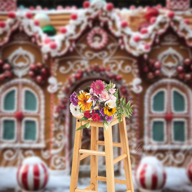 Aperturee - Candy House Snow Photo Studio Christmas Backdrop