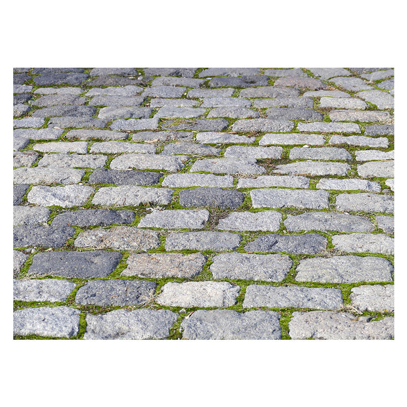 Aperturee - Classic Cobblestone Road Weeds Photo Rubber Floor Mat