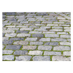 Aperturee - Classic Cobblestone Road Weeds Photo Rubber Floor Mat