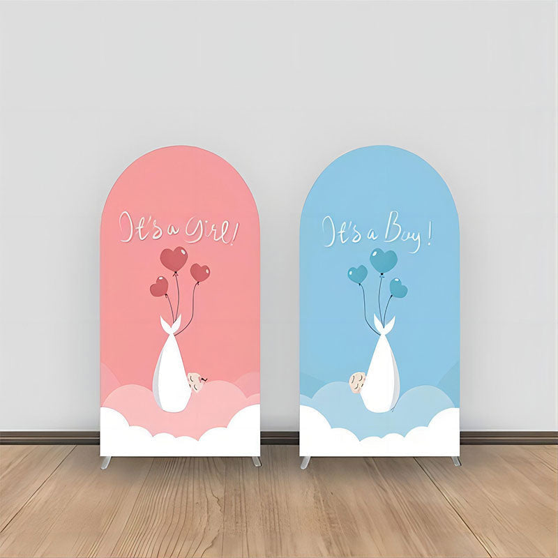 Aperturee - Clouds Pink Blue Balloons Baby Shower Arch Backdrop