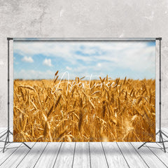 Aperturee - Golden Wheat Field Blue Sky Summer Photo Backdrop