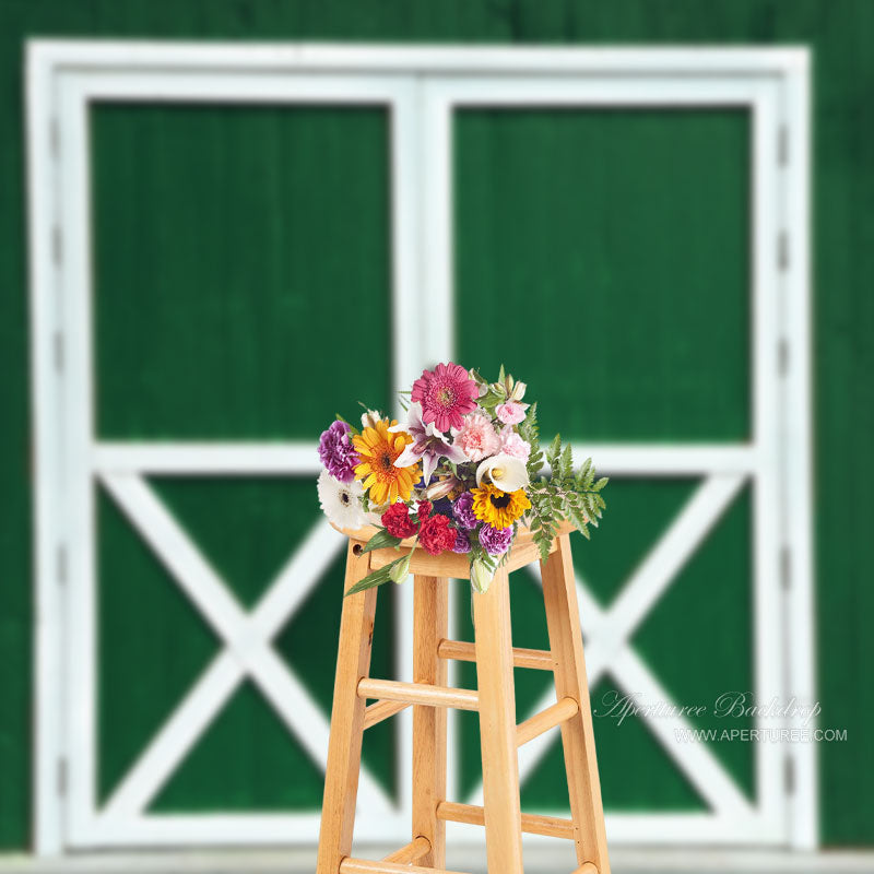 Aperturee - Green Wall Blue Door And Window Photo Backdrops