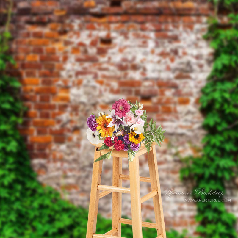 Aperturee - Ivy Green Leaves Vintage Red Brick Wall Backdrop