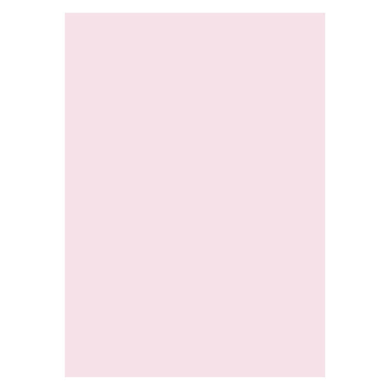 Aperturee - Light Pink Solid Color Studio Photography Backdrop