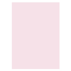 Aperturee - Light Pink Solid Color Studio Photography Backdrop