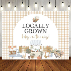 Aperturee - Locally Grown Plaid Rustic Backdrop For Baby Shower