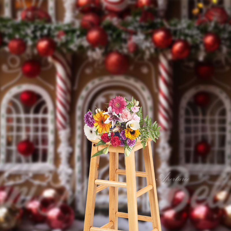 Aperturee - Lovely Candy House Photography Christmas Backdrop