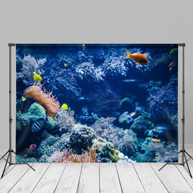 Aperturee - Marine Coral Reefs Underwater Summer Background