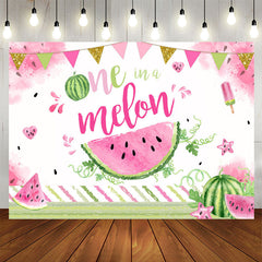 Aperturee - One in A Melon Summer Watermelon 1st Birthday Backdrop