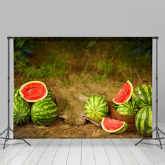 Aperturee - Pastoral Watermelon Farmland Fruits Summer Backdrop