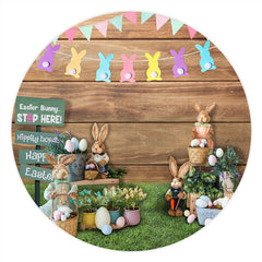 Aperturee Peter Rabbit And Floral Eggs Round Happy Easter Backdrop