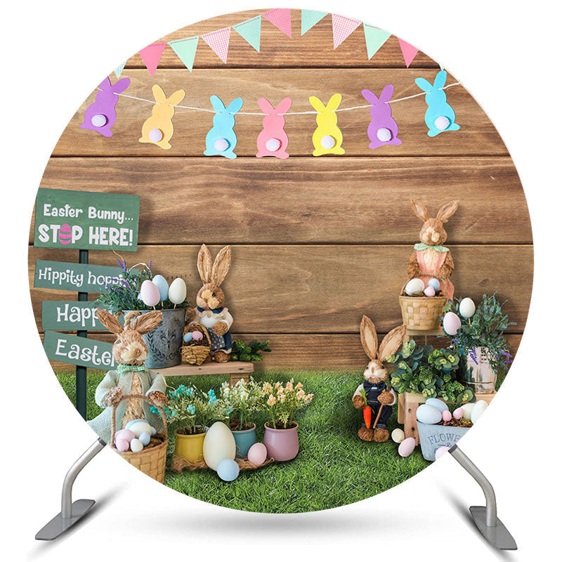 Aperturee Peter Rabbit And Floral Eggs Round Happy Easter Backdrop