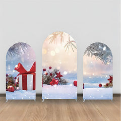 Aperturee - Pine Leaves Snow Gift Stars Bokeh Arch Backdrop Kit