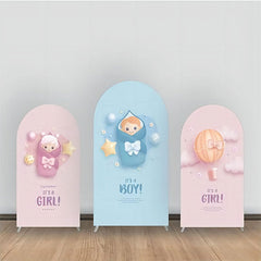 Aperturee - Pink And Blue Baby Gender Reveal Arch Backdrop Kit