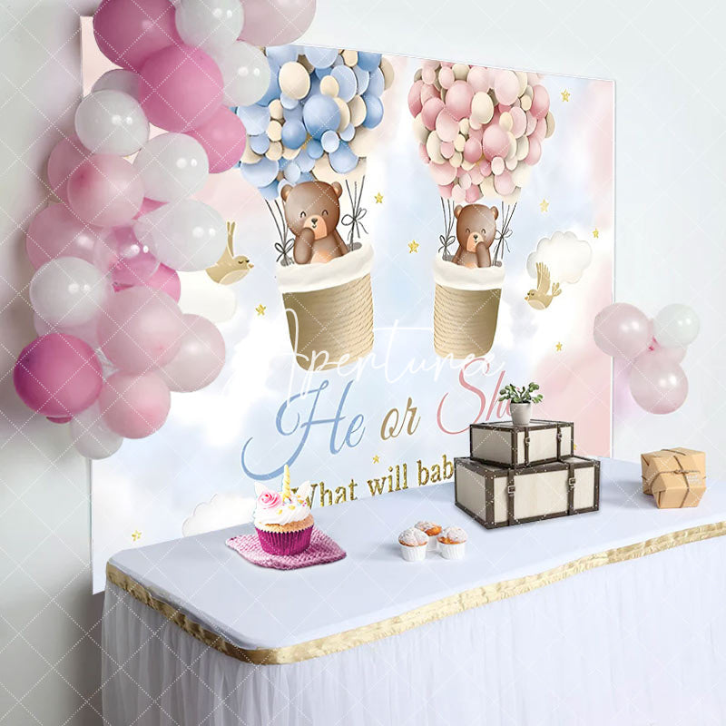 Aperturee - Pink Blue Cloud Bear Boho Gender Reveal Backdrop