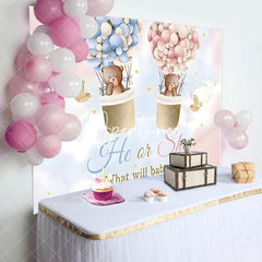 Aperturee - Pink Blue Cloud Bear Boho Gender Reveal Backdrop