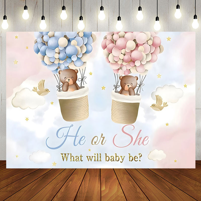 Aperturee - Pink Blue Cloud Bear Boho Gender Reveal Backdrop