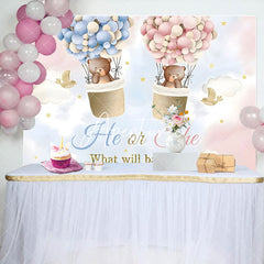 Aperturee - Pink Blue Cloud Bear Boho Gender Reveal Backdrop