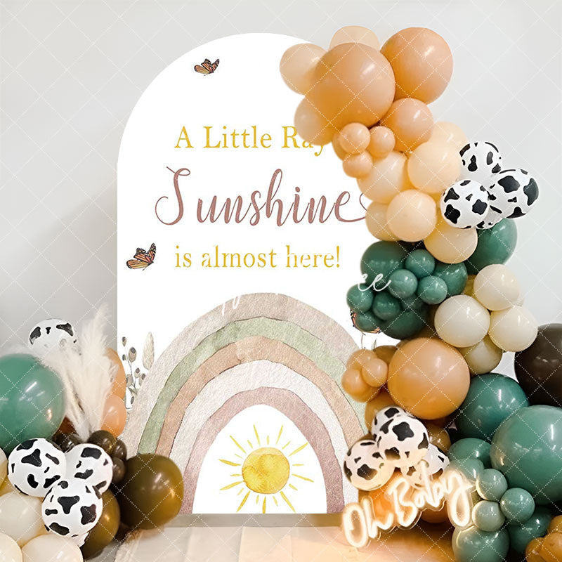 Aperturee - Ray Of Sunshine Rainbow Baby Shower Arch Backdrop