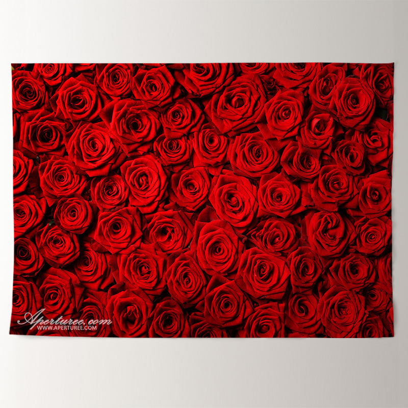 Aperturee - Red Rose Simple Sweet Happy Valentine Day Backdrop