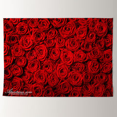 Aperturee - Red Rose Simple Sweet Happy Valentine Day Backdrop