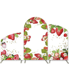 Aperturee Red Strawberry White Happy Birthday Arch Backdrop Kit