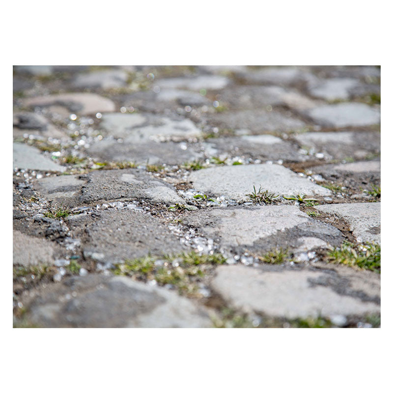 Aperturee - Rustic Gravel Weeds Bokeh Rubber Floor Mat For Photo