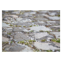 Aperturee - Rustic Gravel Weeds Bokeh Rubber Floor Mat For Photo