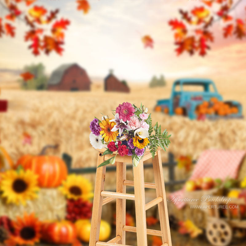 Aperturee - Scarecrow Maples Pumpkins Wheat Harvest Autumn Backdrop