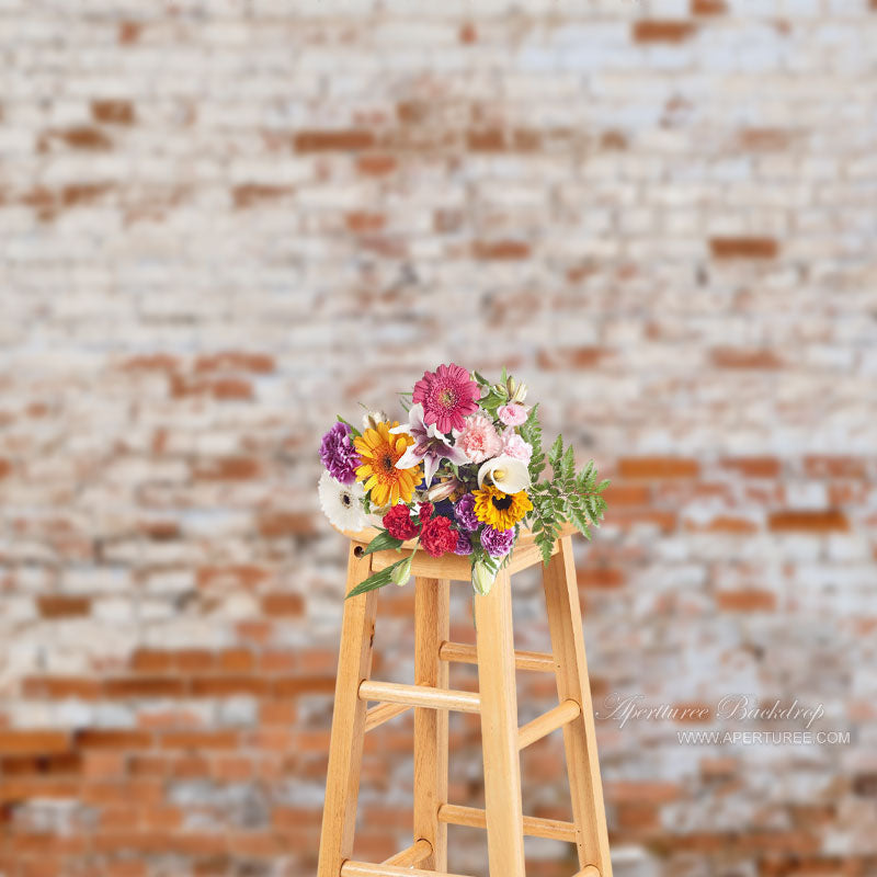 Aperturee - Shabby White Brushed Red Brick Wall Photo Backdrop