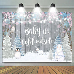 Aperturee - Baby Its Cold Outside Winter Gender Reveal Backdrop