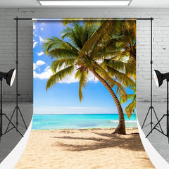 Aperturee - Sky Clouds Beach Summer Holiday Photo Sweep Backdrop