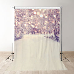 Aperturee - Snowy Boulevard Boke Winter Scene Backdrop For Photo