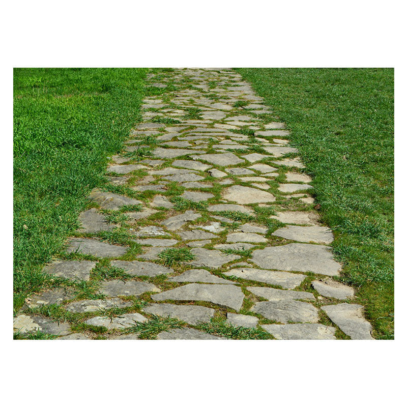 Aperturee - Spring Country Stone Road Weeds Rubber Floor Mat