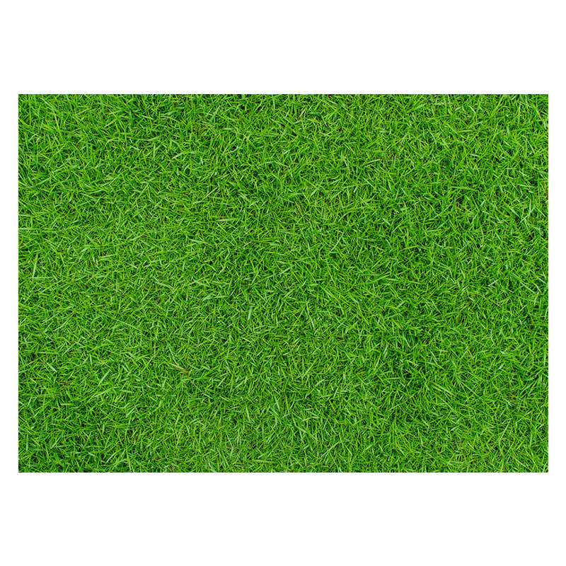 Aperturee - Spring Fresh Grass Lawn Rubber Floor Mat For Photo