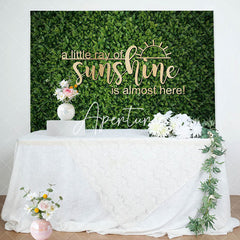 Aperturee - Spring Little Ray Of Sunshine Baby Shower Backdrop