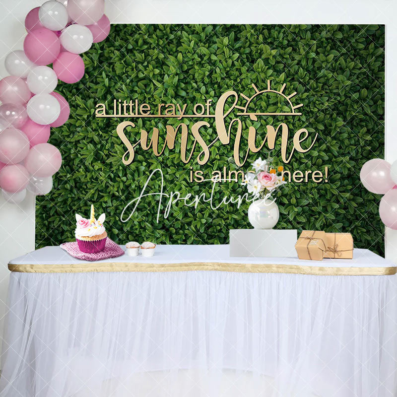 Aperturee - Spring Little Ray Of Sunshine Baby Shower Backdrop