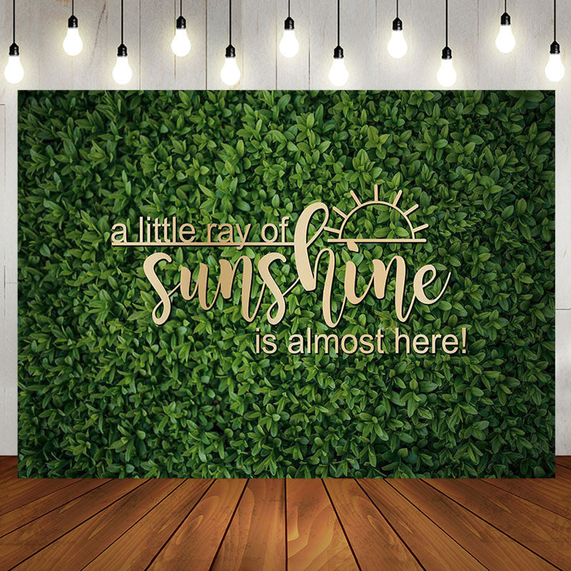 Aperturee - Spring Little Ray Of Sunshine Baby Shower Backdrop