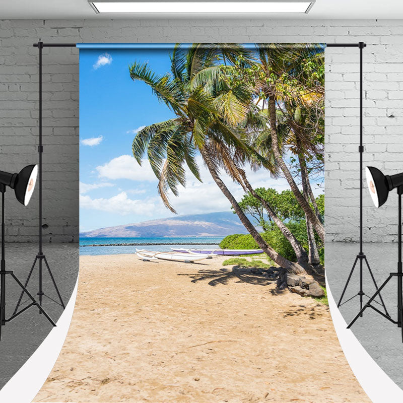 Aperturee - Sunshine Beach Boat Trees Sweep Photoshoot Backdrop