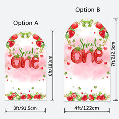 Aperturee - Sweet One Girl Birthday Double Sided Arch Backdrop