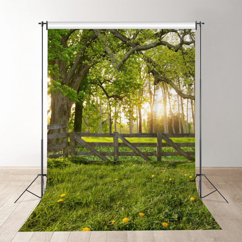 Aperturee - Morning Warm Sunlight Grassland Spring Photo Backdrop