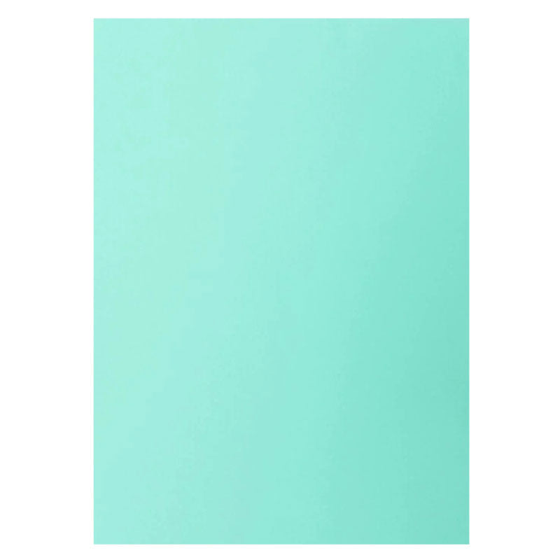 Aperturee - Turquoise Solid Color Portrait Photography Backdrop