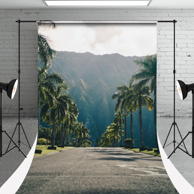 Aperturee - Wide Road Mountains Palm Trees Sweep Summer Backdrop