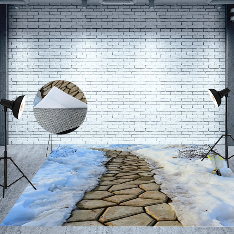 Aperturee - Winter Garden Stone Path Snowy Scenery Floor Mat