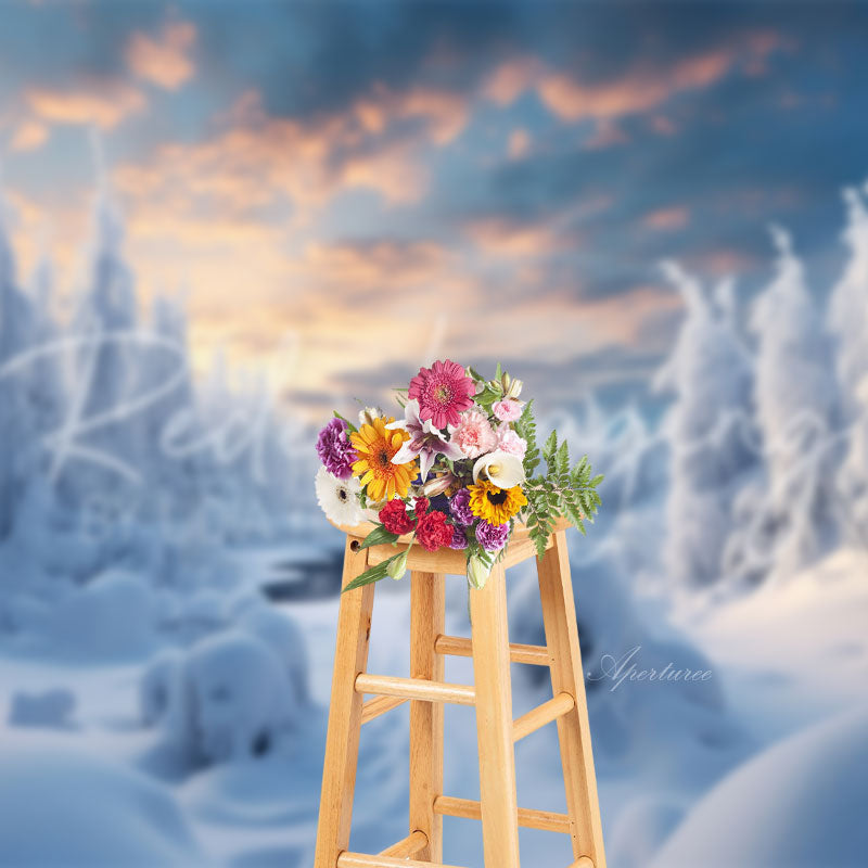 Aperturee - Winter Snowy Landscape Christmas Photo Backdrop