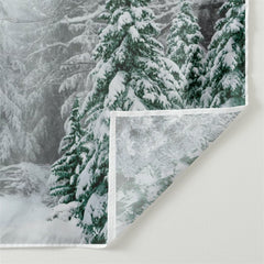 Aperturee - Foggy Wild Forest Trees Snowy Winter Backdrop