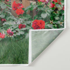 Aperturee - Grown Rose Butterfly Graden Valentine Backdrop