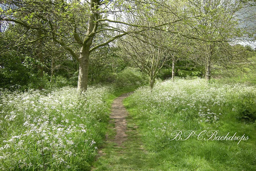 Aperturee - Spring Blooming Flowers Greeny Forest Photo Booth Backdrop